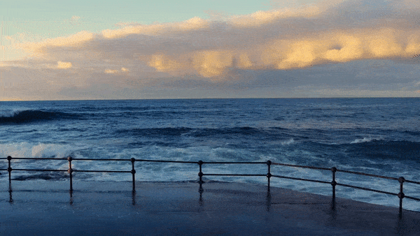 Trump Praises ‘Strong’ Modi, Says New India–US Trade Deal in Progress