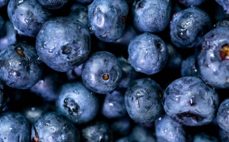 Cardiologists Recommend Blueberries Daily, but High Prices Keep Many Away – This Simple Hack Makes It Affordable