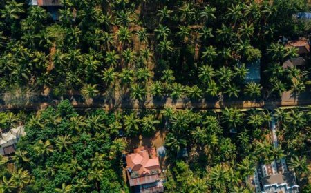 Kerala Becomes India’s First State Free from Extreme Poverty, Announces CM Pinarayi Vijayan