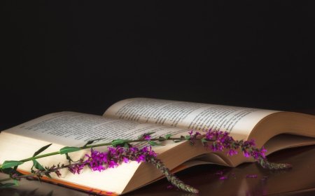 Ratna Pathak Shah Remembers Satish Shah: “His Last Message Still Makes Me Smile”