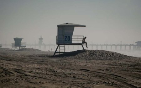 Siddaramaiah Criticizes Centre for Overlooking Kannada, Urges Protection of State Language on Rajyotsava Day