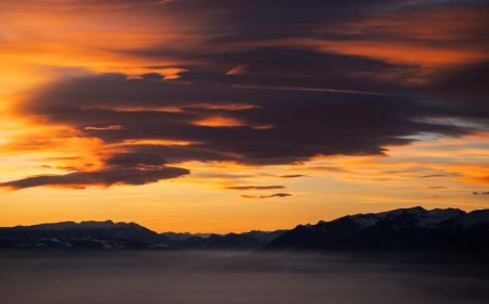 Himanta Sarma, Gaurav Gogoi Clash Over ‘Pakistani Agent’ Allegation