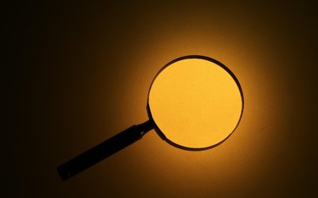 BlackRock and Lenders Seek Recovery After Alleged $500 Million Fraud by Bankim Brahmbhatt