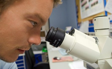 Indian Scientists Shine Globally: Three Named Among Stanford’s Top 2% for Sustainable and AI-Powered Research