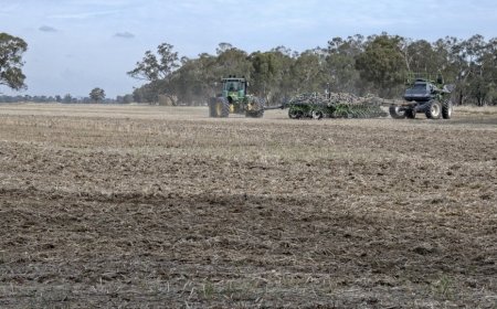 Delhi AQI Today: Cloud Seeding Shows Limited Impact on Air Quality