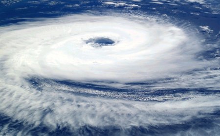 Cyclone Montha Tracker: LIVE Updates