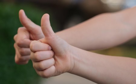 Bihar Polls Heat Up: Amit Shah, Rahul Gandhi Lead Rallies as INDIA Bloc Promises Language Boost