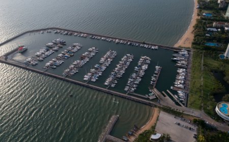 Adani Ports Q2 Net Soars 29% on Logistics, Marine Strength