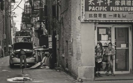 ICE Agents’ Brutality on Cam: Woman Dragged From Car, Handcuffed in Chicago