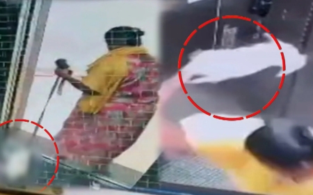 Domestic Worker Arrested After Killing Pet Dog Inside Apartment Lift in Bengaluru