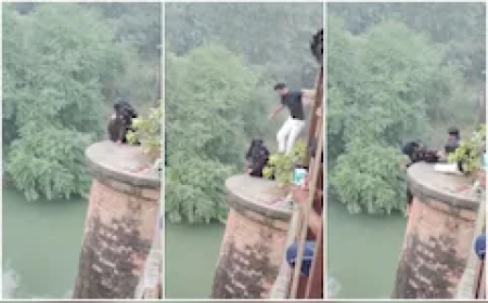 UP Man Heroically Saves 14-Year-Old Girl From Jumping Off Bridge in Deoria