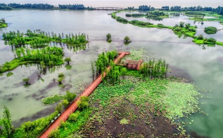 Kochi Corporation Polls: UDF Targets LDF Over Waterlogging, Waste Management Failures