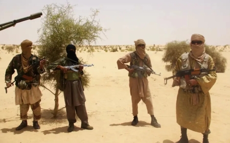 Terror Threat in West Africa: Five Indian Nationals Taken Hostage in Mali