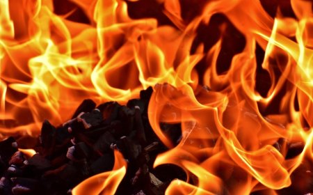 Uttar Pradesh Student Dies by Self-Immolation After Alleged Humiliation Over Unpaid College Fees