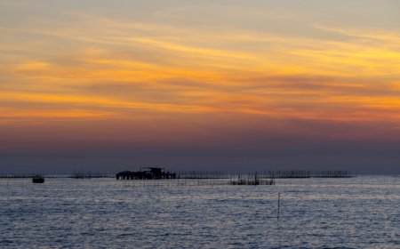 Rajasthan Shivers as Night Temperatures Fall 2–5°C Below Normal; Fatehpur Coldest at 6.8°C