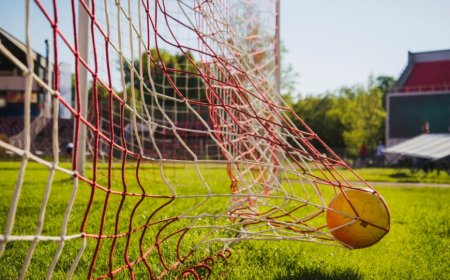 NBA Roundup: New York Knicks Rout Brooklyn Nets, Remain Perfect at Home