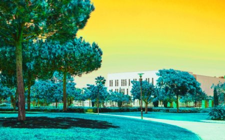 National Green Tribunal Pulls Up Himachal Govt Over Escalating Kullu Waste Crisis