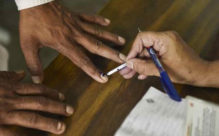 Maharashtra EC Probes Claim That Woman NCP Candidate Was Prevented From Filing Nomination in Solapur