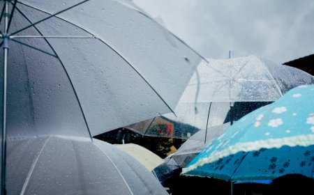 Chennai Weather to Worsen by Weekend; IMD Forecasts Widespread Rain Across Tamil Nadu