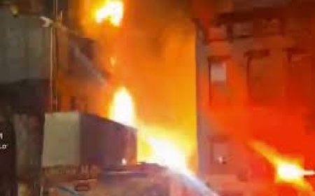 Massive Fire Erupts at East Harlem Beer Garden; Firefighters Respond