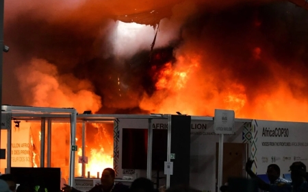 Fire Halts COP30 in Brazil, Stalling Crucial Climate Negotiations With Only Two Days Left