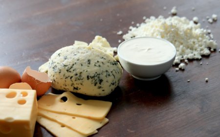 From Gujarat to the Gulf: Indian Mozzarella Becomes Hot Global Commodity