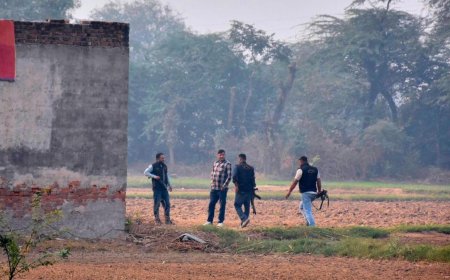 Faridabad Man Arrested for Sheltering Red Fort Suicide Bomber: NIA Investigation Ongoing