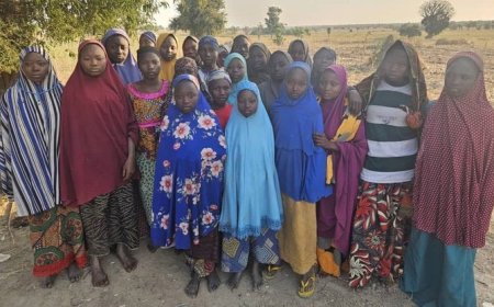 Twenty-Four Nigerian Schoolgirls Freed After Week-Long Abduction in Kebbi State