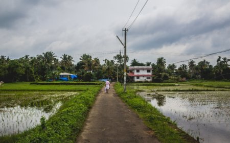 Schools Closed on 26 November in Tamil Nadu, Andhra, Puducherry Due to Heavy Rain; Winter Vacations Begin in Some States