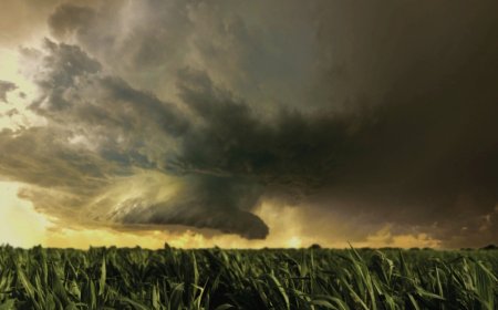 Cyclone Ditwah Devastates Sri Lanka, Heads Toward Tamil Nadu and Puducherry