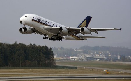 Should Singapore Airlines Reveal Its Maximum Investment in Air India?
