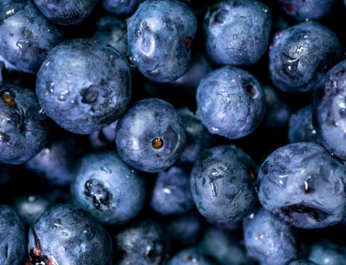 Cardiologists Recommend Blueberries Daily, but High Prices Keep Many Away – This Simple Hack Makes It Affordable