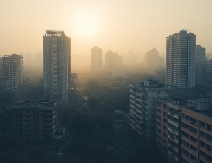 Smog Crisis Deepens: Delhi Govt Mandates Work From Home for Half the Workforce