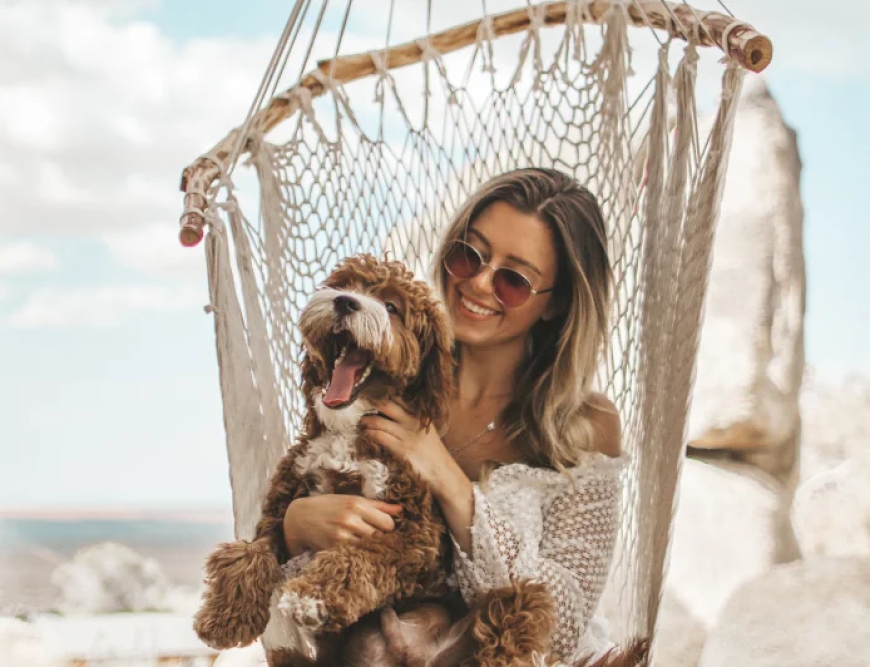 Pakistan Warns Taliban After Failed Peace Talks in Turkey