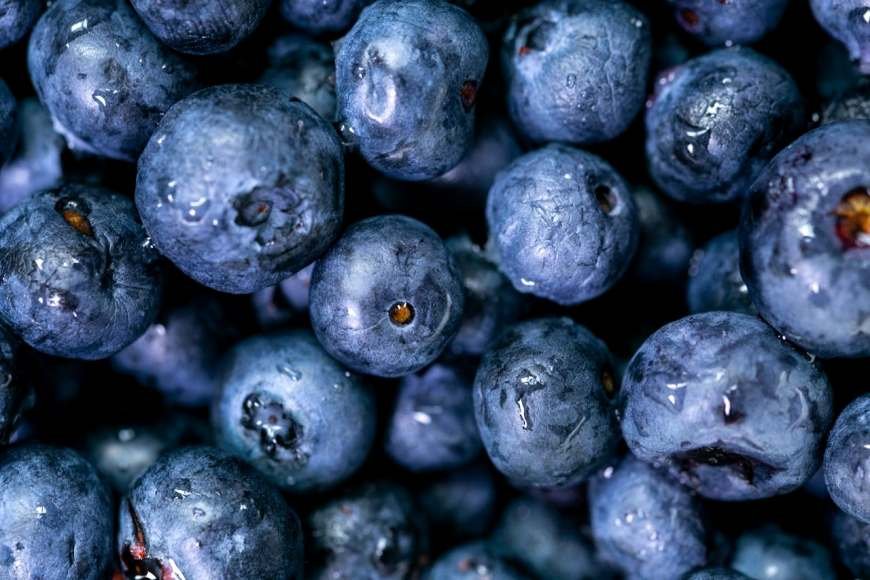 Cardiologists Recommend Blueberries Daily, but High Prices Keep Many Away – This Simple Hack Makes It Affordable
