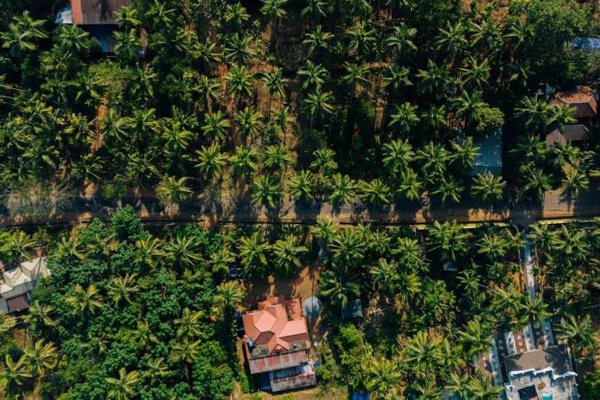 Kerala Becomes India’s First State Free from Extreme Poverty, Announces CM Pinarayi Vijayan