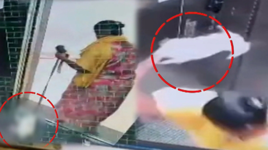 Domestic Worker Arrested After Killing Pet Dog Inside Apartment Lift in Bengaluru