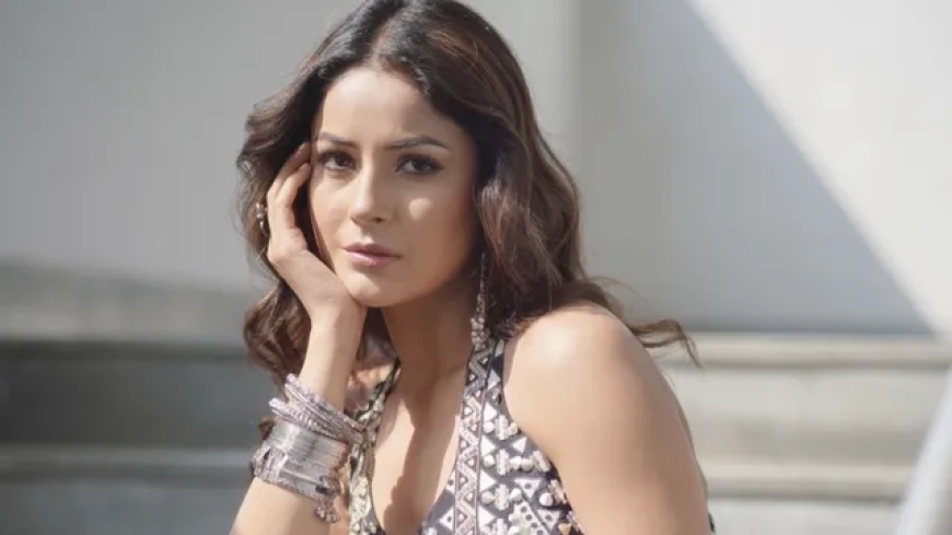 Shehnaaz Gill Opens Up: ‘I Betrayed My Ex Because Love and Respect Weren’t Reciprocated’