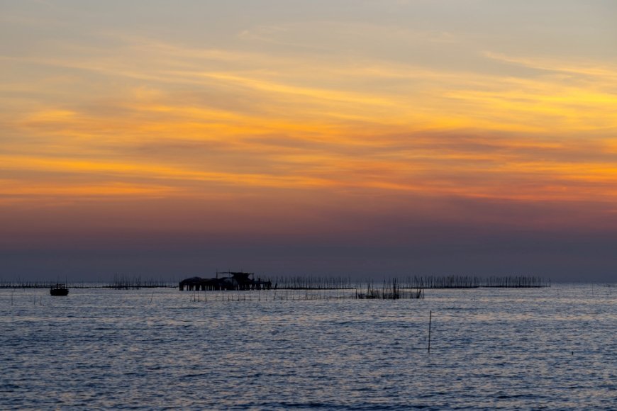 Rajasthan Shivers as Night Temperatures Fall 2–5°C Below Normal; Fatehpur Coldest at 6.8°C