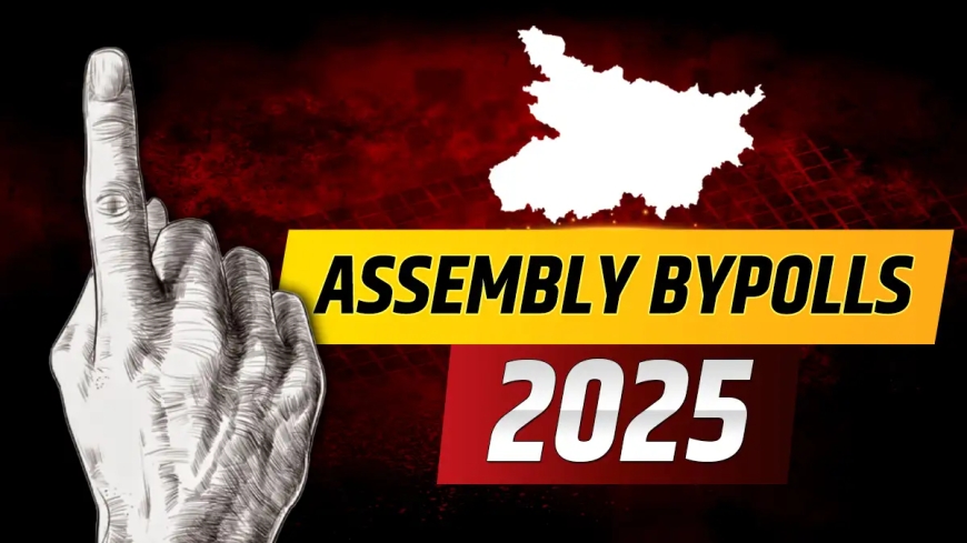 Byelection results 2025 date and time: Please tap ‘Anta, Budgam, Dampa, Ghatsila, Nagrota, Tarn Taran, Jubilee Hills’