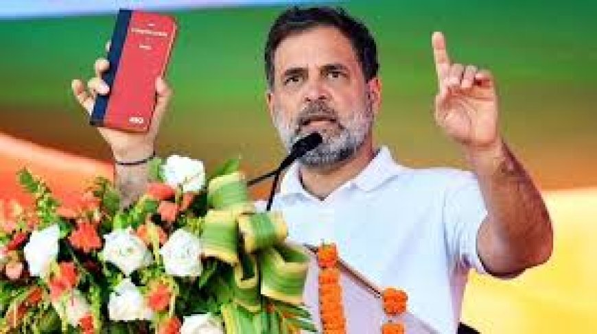 Rahul Gandhi Raises Questions on Bihar Election Fairness, Surprised by Results