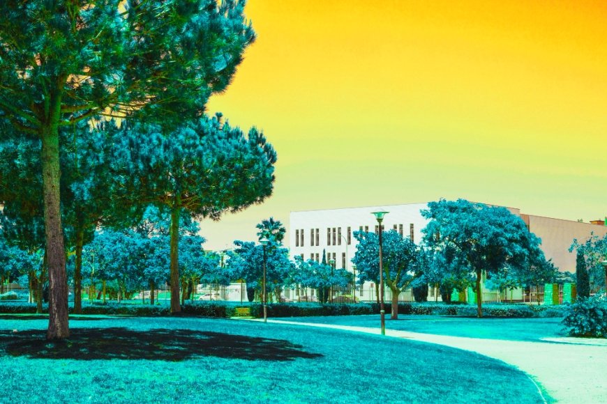 National Green Tribunal Pulls Up Himachal Govt Over Escalating Kullu Waste Crisis