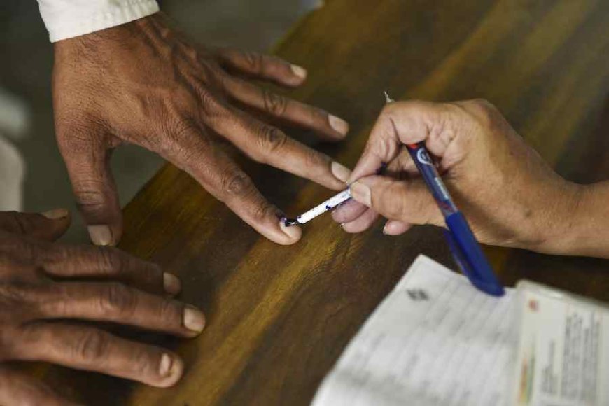 Maharashtra EC Probes Claim That Woman NCP Candidate Was Prevented From Filing Nomination in Solapur