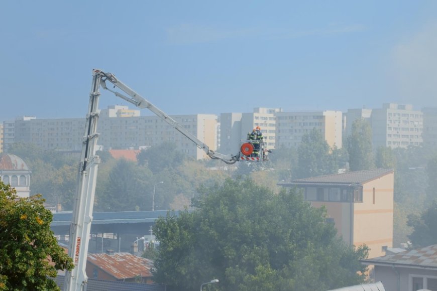 Border Patrol Commander Accused of Lying in Court, Judge Slams ICE and CBP Conduct in Chicago