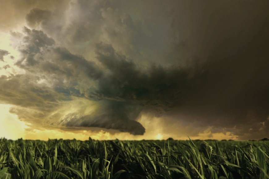 Cyclone Ditwah Devastates Sri Lanka, Heads Toward Tamil Nadu and Puducherry