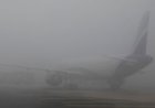 Dense Fog Disrupts Delhi Airport: 61 Flights Cancelled, 5 Diverted