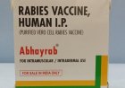 Fake Rabies Vaccination in India: Abhayrab Counterfeit Vaccine Controversy