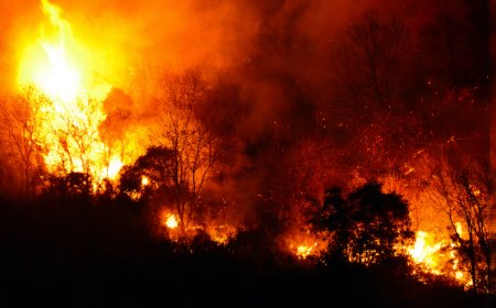 “Tragedy and Destruction: Australia’s Early Bushfire Season Claims 1 Life, 40 Homes”