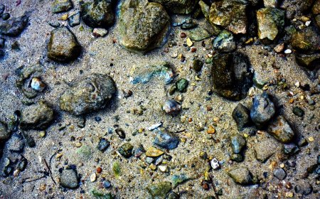 Japan’s Strategic Move: Building a Rare‑Earth Supply Chain Independent of China