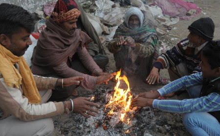 Cold Wave to Grip 11 States in India, IMD Warns of Plummeting Temperatures
